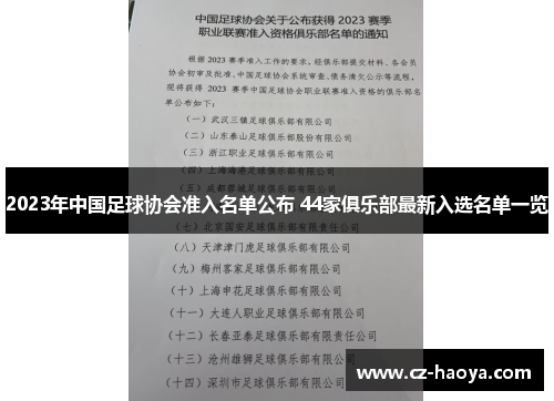 2023年中国足球协会准入名单公布 44家俱乐部最新入选名单一览