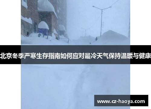 北京冬季严寒生存指南如何应对最冷天气保持温暖与健康