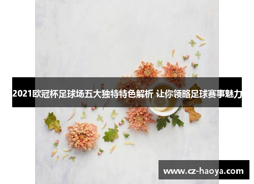 2021欧冠杯足球场五大独特特色解析 让你领略足球赛事魅力