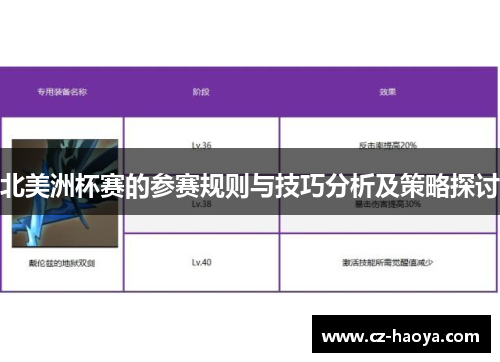北美洲杯赛的参赛规则与技巧分析及策略探讨 北美洲杯赛的参赛规则与技巧分析及策略探讨