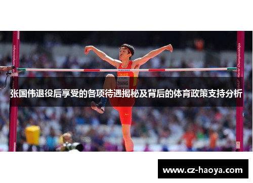 张国伟退役后享受的各项待遇揭秘及背后的体育政策支持分析 张国伟退役后享受的各项待遇揭秘及背后的体育政策支持分析